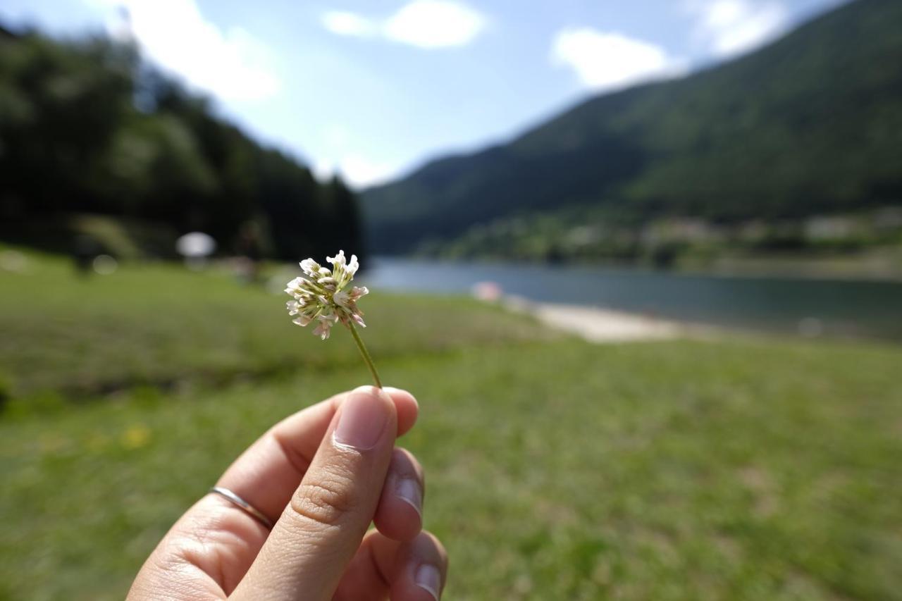 B&B Relais Dolomiti Bedollo Екстер'єр фото